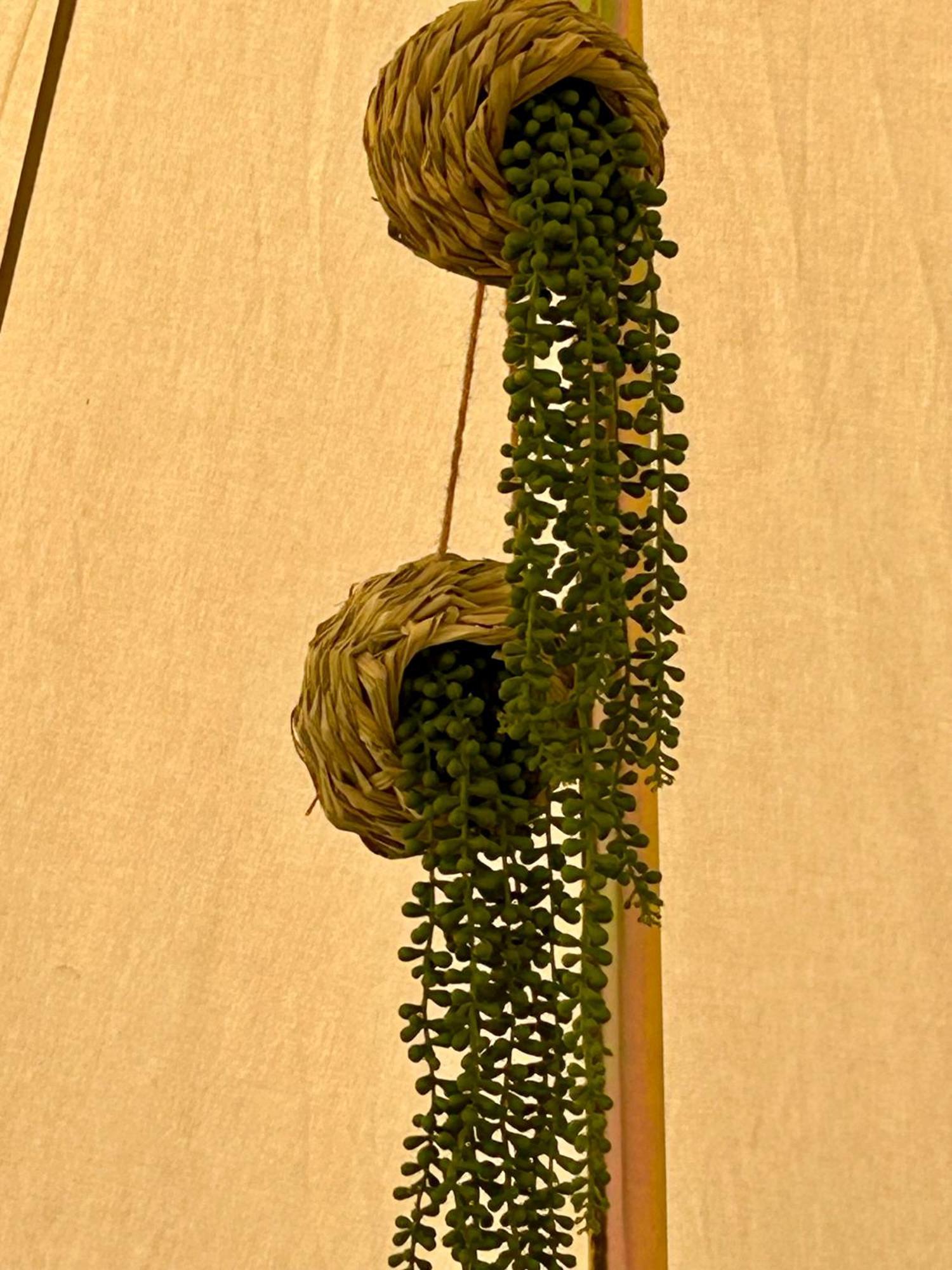 Chambre Au Jardin Tente De Charme Eguzon-Chantome Exterior photo