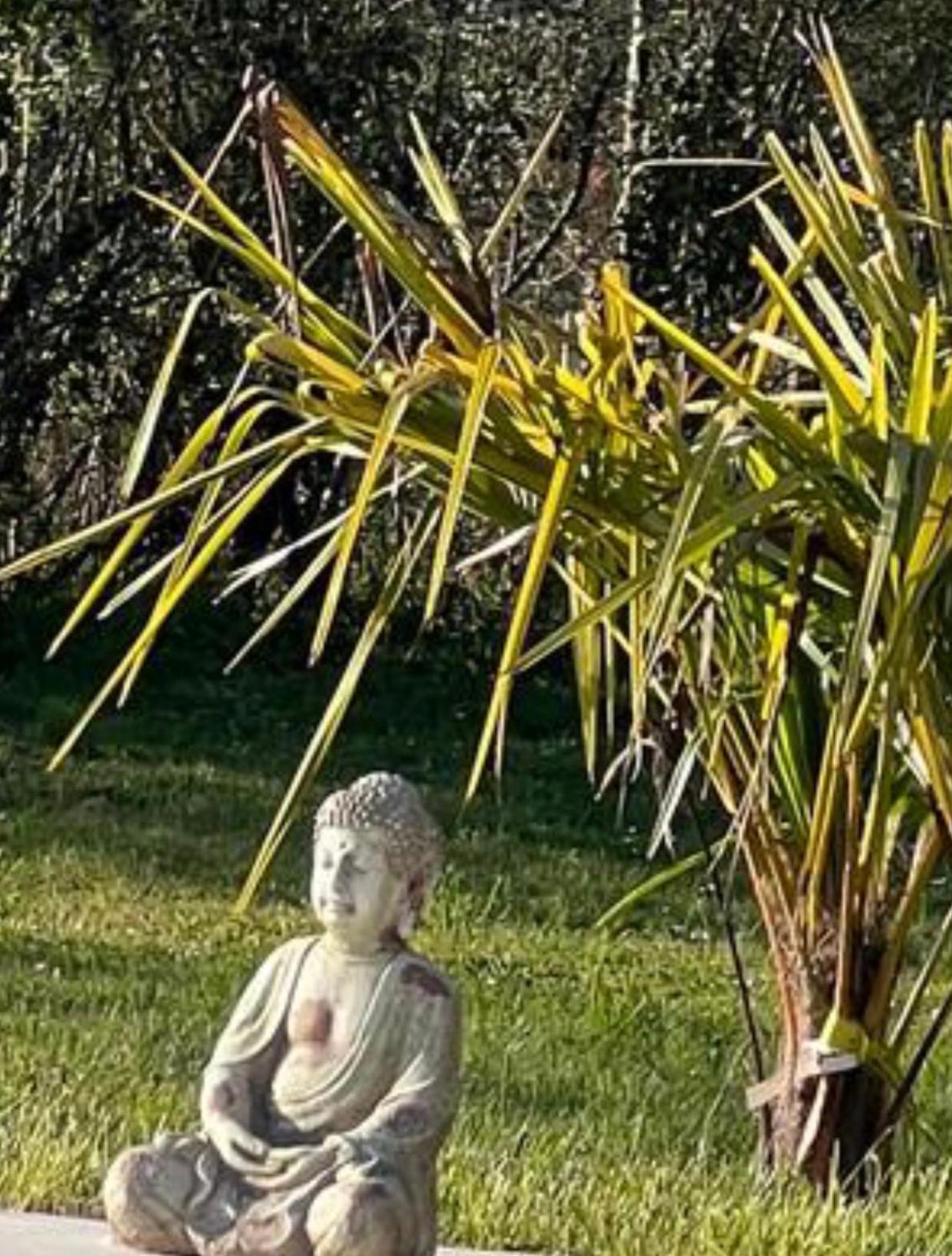 Chambre Au Jardin Tente De Charme Eguzon-Chantome Exterior photo
